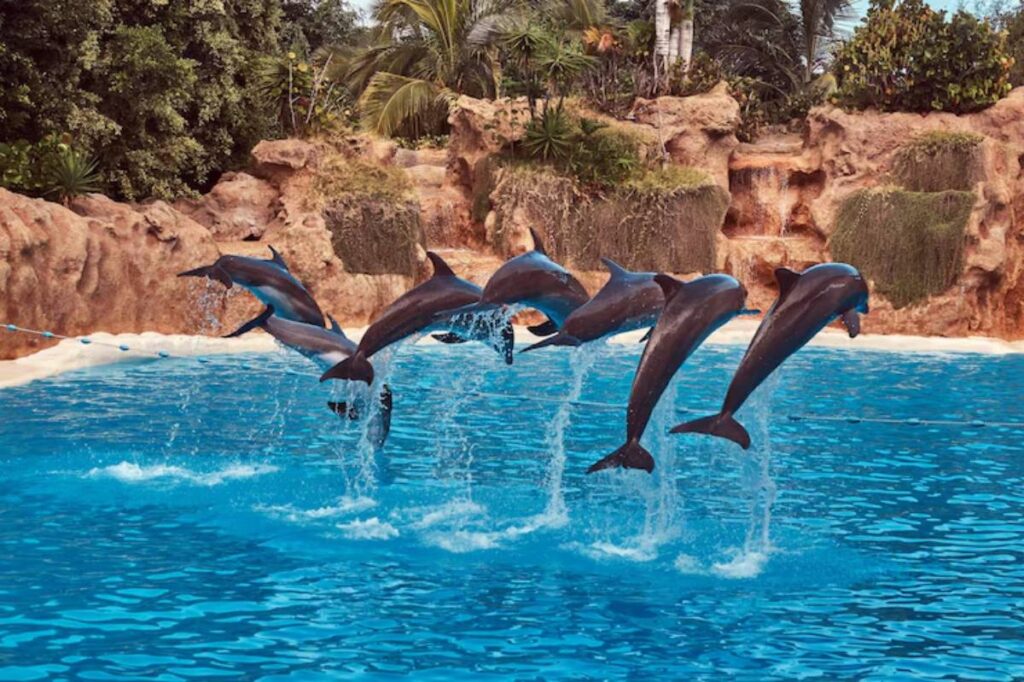 A group of five dolphins leaps gracefully out of the vibrant blue water against a backdrop of lush greenery and rocky terrain.