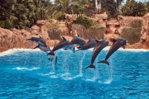 A group of five dolphins leaps gracefully out of the vibrant blue water against a backdrop of lush greenery and rocky terrain.